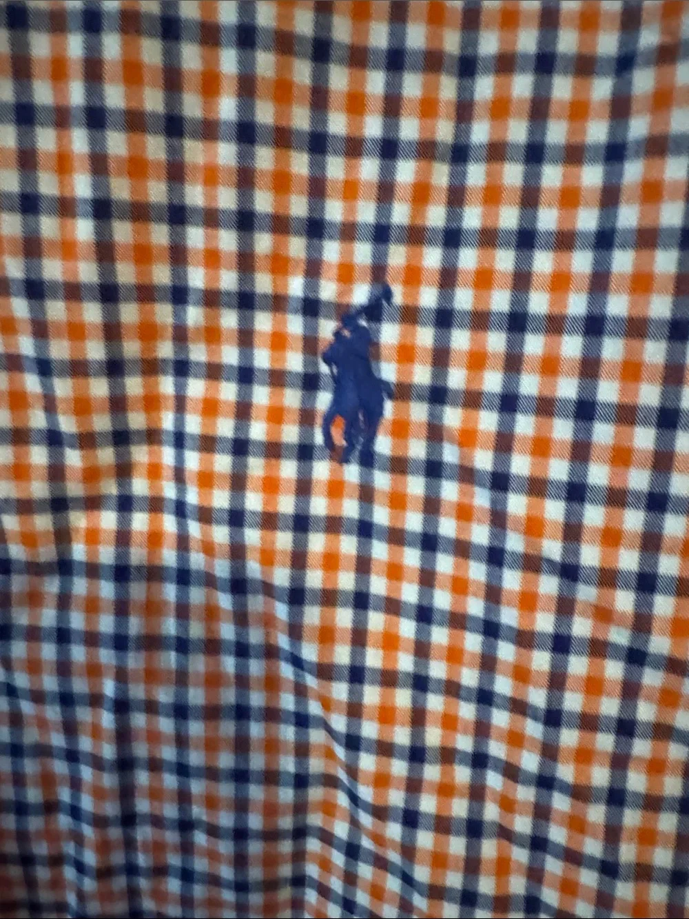 Ralph Lauren Boys Navy and Orange Small Check Button-Down Shirt
